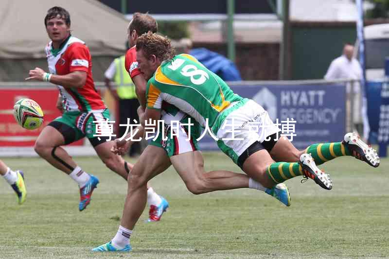 尊龙凯时人生就搏