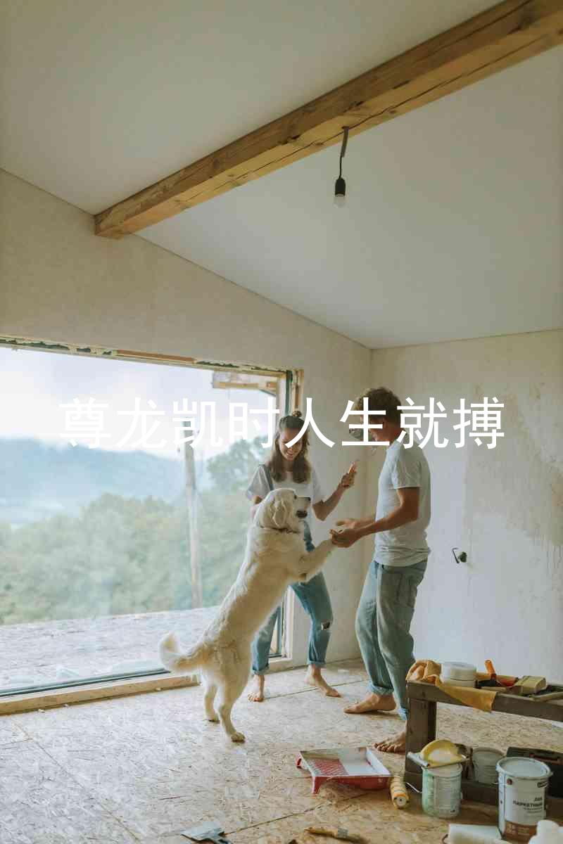 尊龙凯时人生就搏
