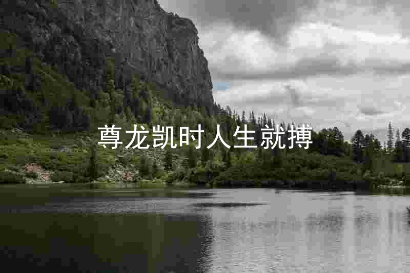 尊龙凯时人生就搏