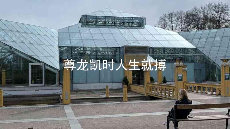 尊龙凯时人生就搏